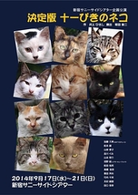 新宿サニーサイドシアター『キャッツシアター化計画』　観客を魅了する野良猫大募集！