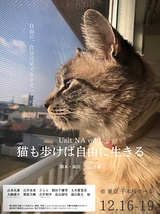 東京2021年12月公演『猫も歩けば自由に生きる』キャスト募集 