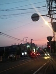 ひよこ