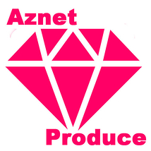 Aznet Promotion