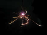 yellowrange