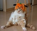 ふふふｈ