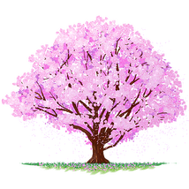 SAKURAエンゲキプロジェクト