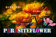 PARASITEFLOWER～やどりぎの花～製作委員会