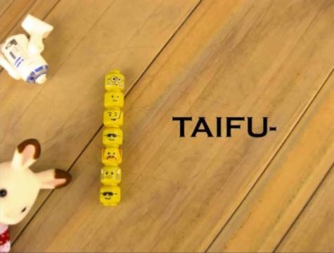 TAIFU-