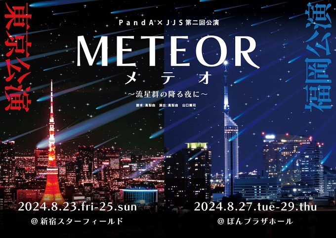 METEOR～流星群の降る夜に～