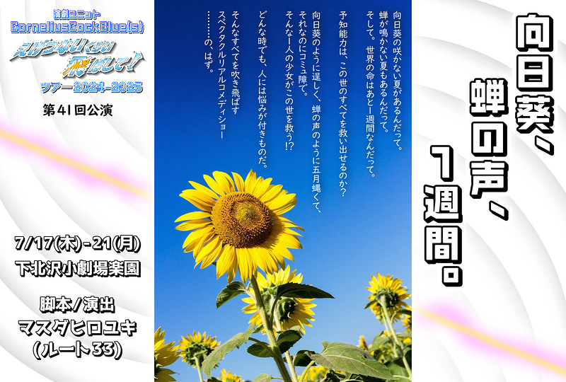 向日葵、蝉の声、１週間。