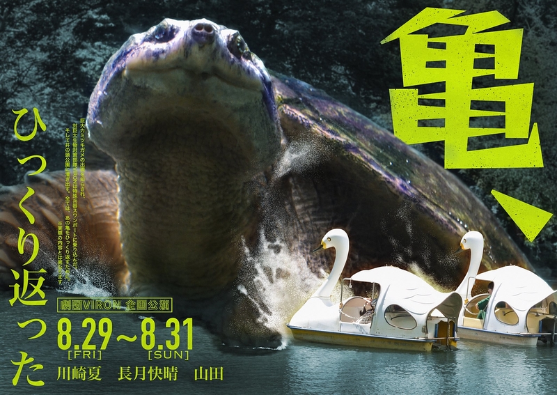 亀、ひっくり返った