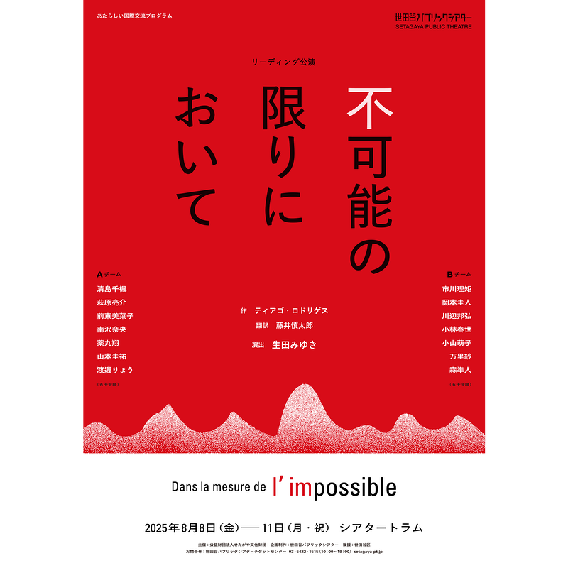 不可能の限りにおいて