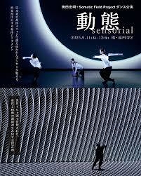 動態 – sensorial