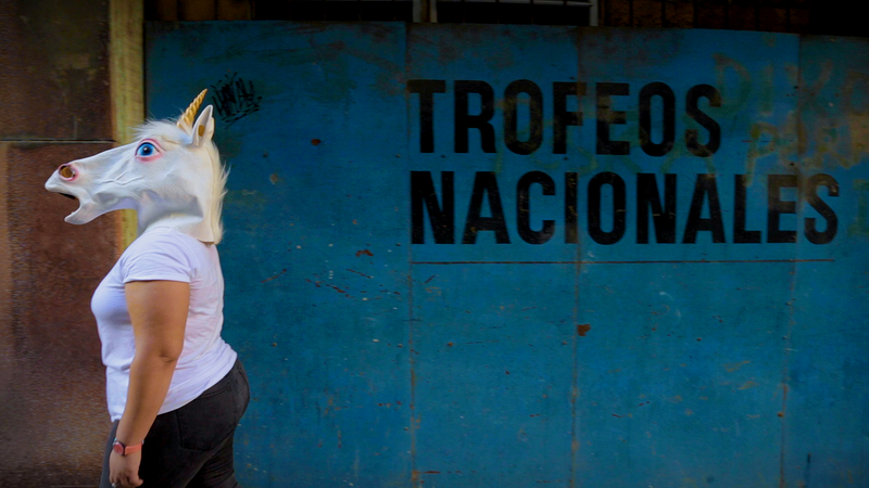 マルタ・ルイサ・エルナンデス・カデナス『私はユニコーンではない』