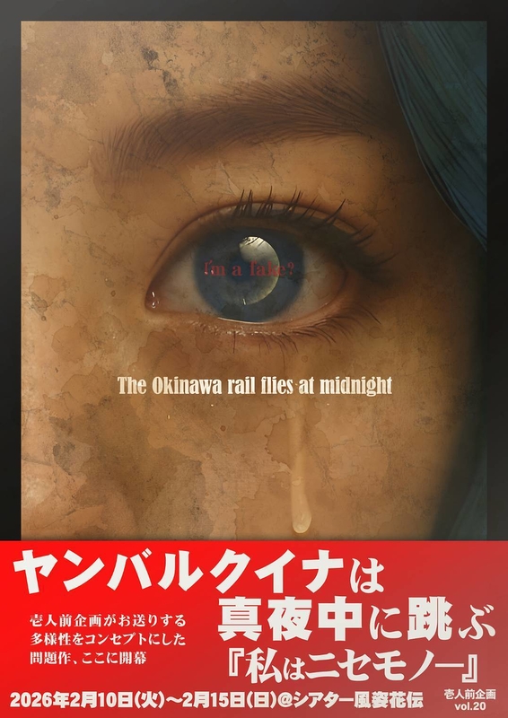 ヤンバルクイナは真夜中に跳ぶ