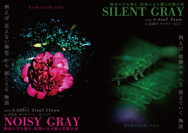 空が飛べると想ってみる。『NOISY&SILENT GRAY』 