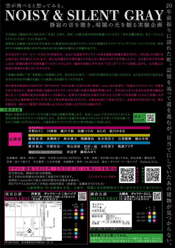 空が飛べると想ってみる。『NOISY&SILENT GRAY』 