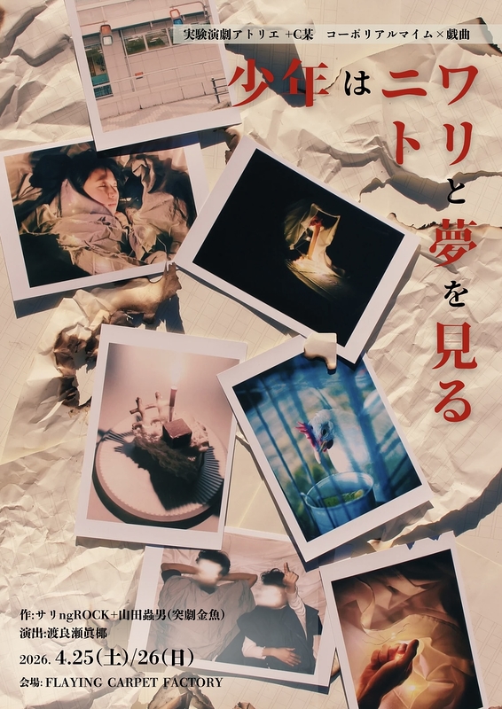 ニワトリと少年は夢をみる