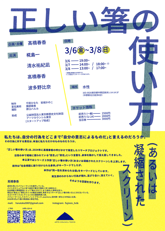 正しい箸の使い方（あるいは凝縮されたスクリーン）