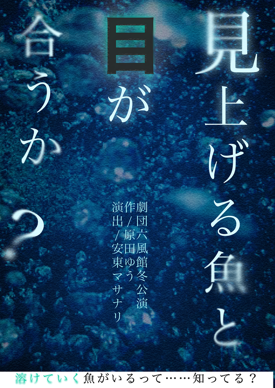 見上げる魚と目が合うか？
