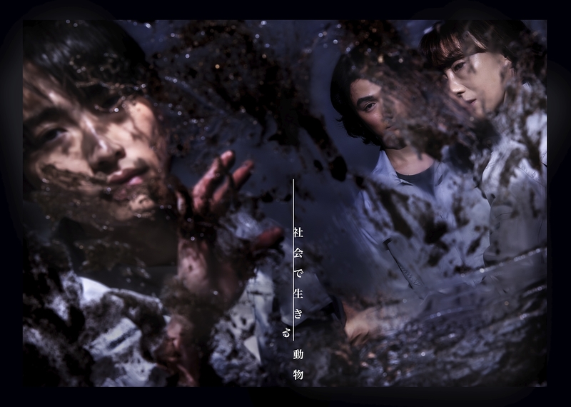 社会で生きる動物