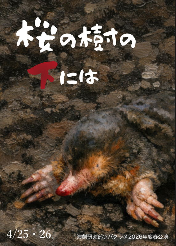 桜の樹の下には