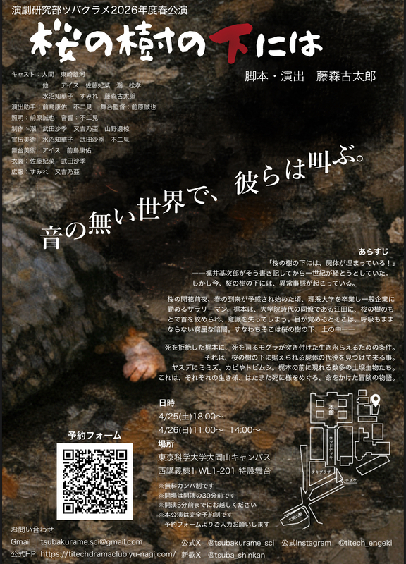 桜の樹の下には