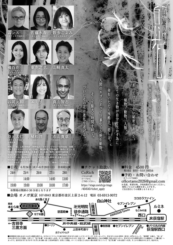 樹海に咲く白い花