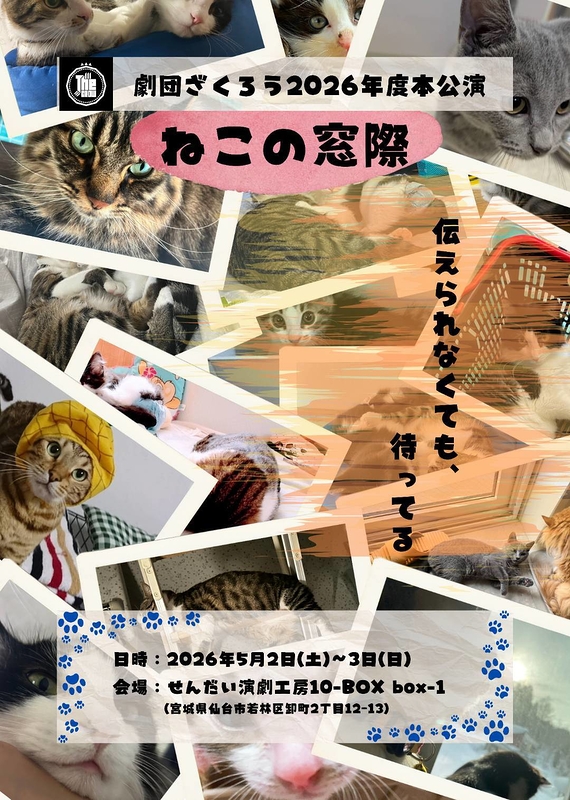 ねこの窓際