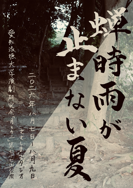 蝉時雨が止まない夏
