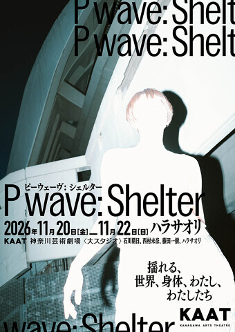 P wave: Shelter