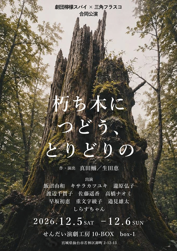 朽ち木につどう、とりどりの
