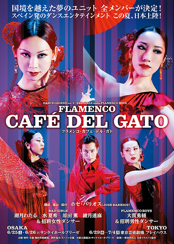 FLAMECO CAFÉ DEL GATO
