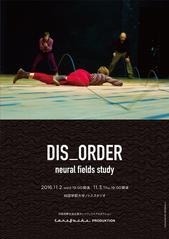 DIS_ORDER neural fields study