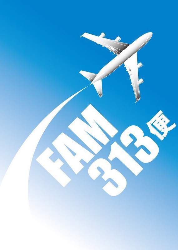 FAM313便