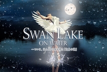 SWAN LAKE ON WATER～ついに、ほんとうの水を得た『白鳥の湖』
