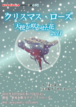 クリスマス･ローズ(天使が咲かせた花2011)