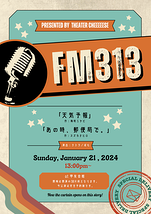 FM313