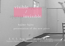 visible/invisible