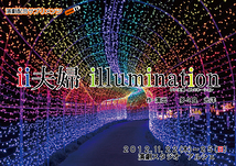 ii夫婦 illumination