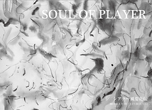 SOUL OF PLAYER