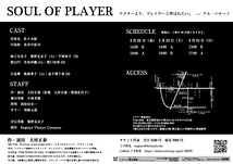 SOUL OF PLAYER