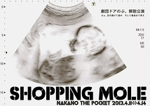 SHOPPING MOLE