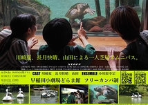 亀、ひっくり返った