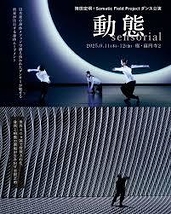 動態 – sensorial