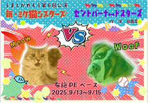 🐶セントバーナードスターズ🐶 🐱新・ミケ猫シスターズ🐱