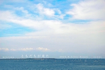 ともだちが来た