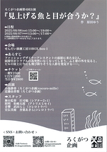 見上げる魚と目が合うか？