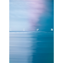 ここが海