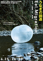 うなぎの回遊 Eel Migration