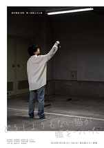 どうしようもない猫が嘘をついた