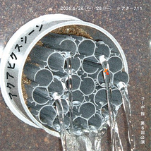 アクアビクスシーン