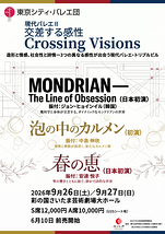 交差する感性/Crossing Visions